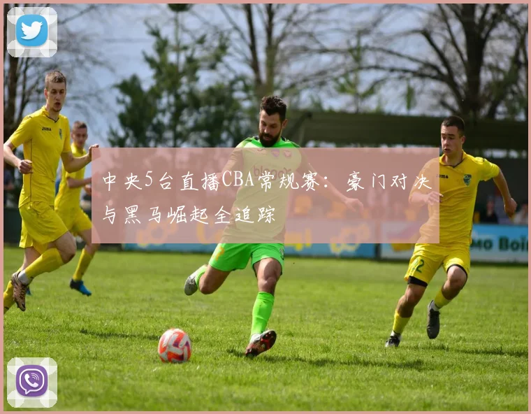 中央5台直播CBA常规赛：豪门对决与黑马崛起全追踪